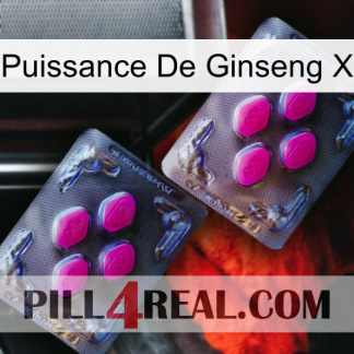 Ginseng Power X 01